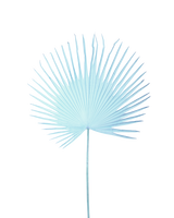 Fan palm leaf dark blue, light blue, small