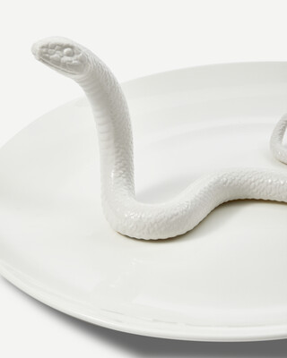 plate snake white, White, medium