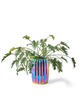 plant pot curvy oily, Multi-colour, small