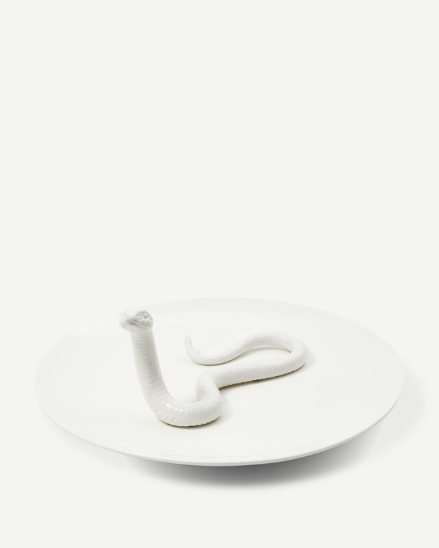 plate snake white, White, pdp