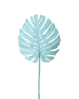 Monstera leaf red, light blue, small