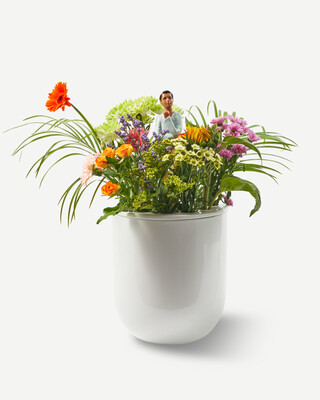 vase day dream, White, medium