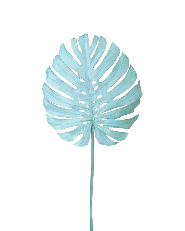 Monstera leaf light blue, light blue, large