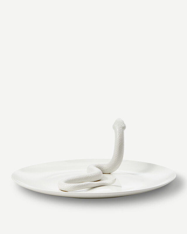 plate snake white, White, pdp
