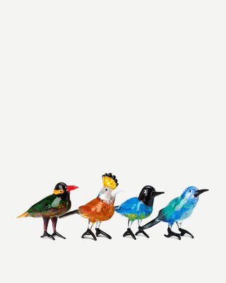 Paradise Birds