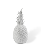 Pineapple white, White, small