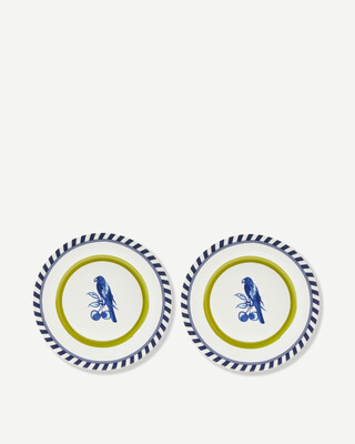 Bird Patterned Plates