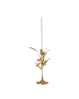 Candle holder Bergamot, Gold, small