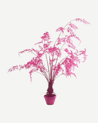 Fern In Pot - S