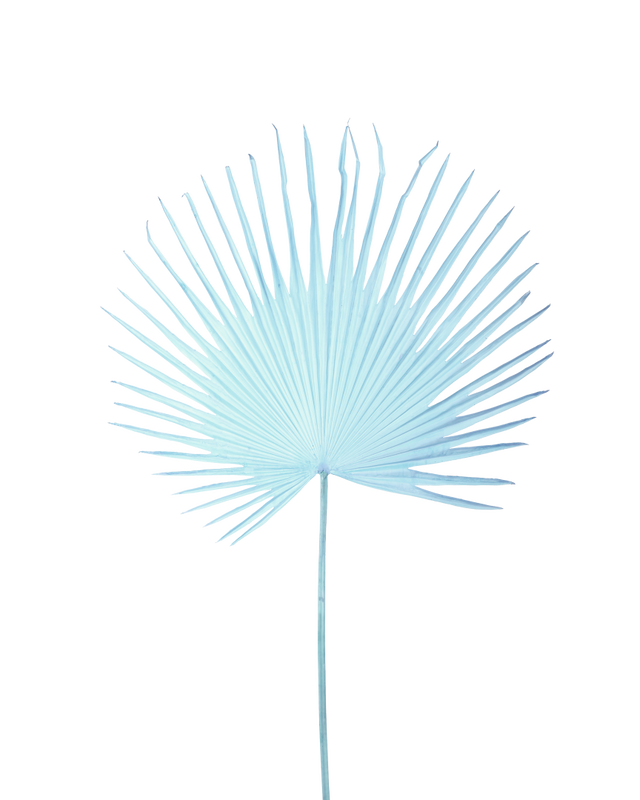Fan palm leaf dark blue, light blue, large